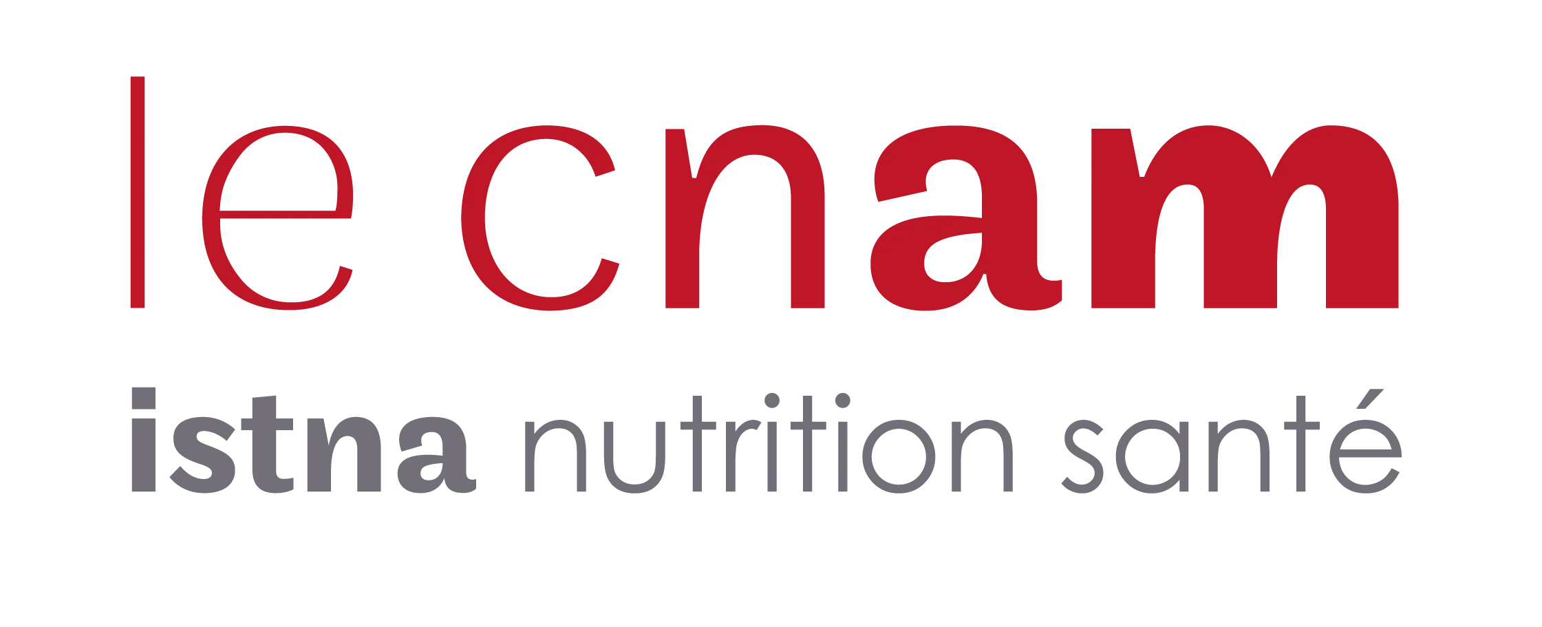 Logo CNAM-Istna